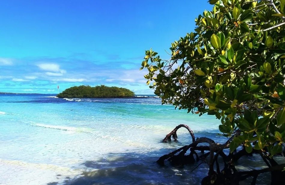 Tortuga Bay